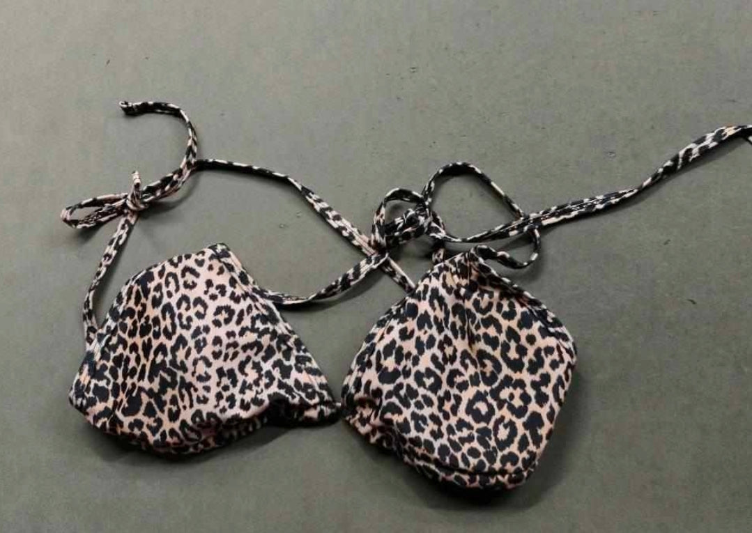Christian Dior leopard print bikini set